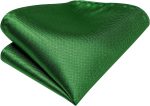 Dubulle Mens Paisely Silk Tie for Men Necktie and Pocket Square Set - Image 6